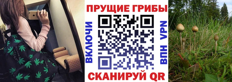 Галлюциногенные грибы мухоморы  Спасск-Рязанский 